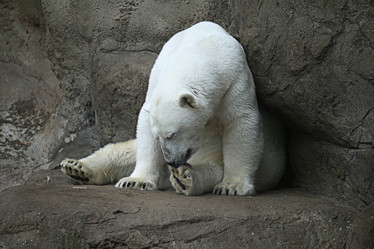 Similar image 10496300