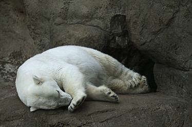 Similar image 10496304