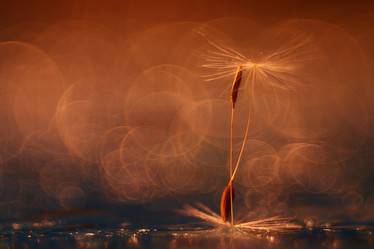 Similar image 10496311