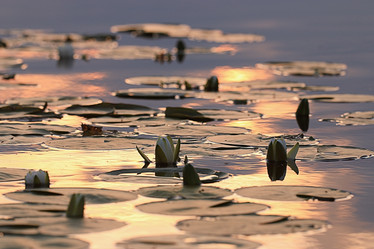 Similar image 10496314