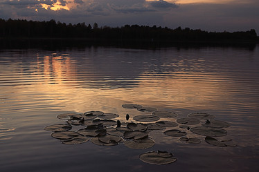 Similar image 10496318