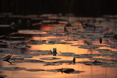 Similar image 10496322