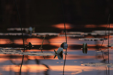 Similar image 10496325