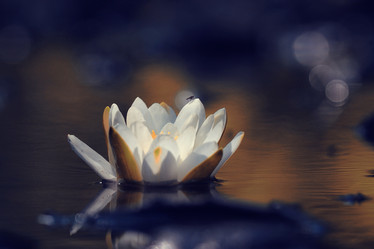 Similar image 10496326