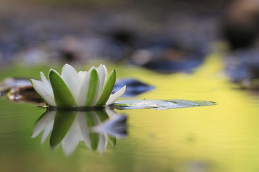 Similar image 10496329