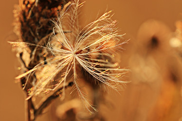 Similar image 10496332