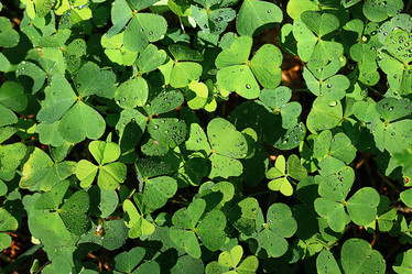 Similar image 10496336