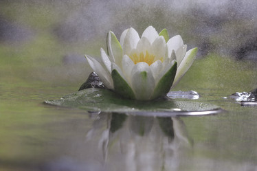 Similar image 10496337