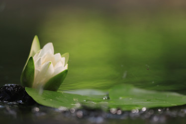 Similar image 10496339