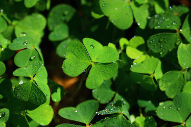 Similar image 10496340