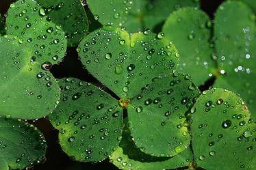 Similar image 10496343