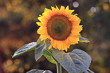 Similar image 10496345