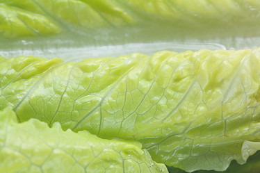 Similar image 10496353