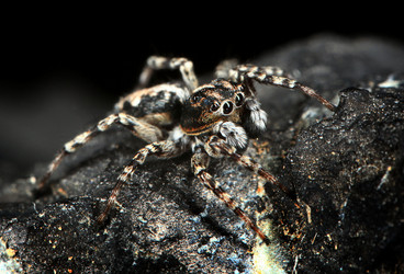 Similar image 10496359