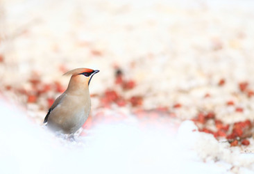 Similar image 10496360