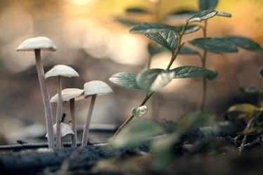 Similar image 10496362