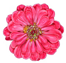 Similar image 10496365