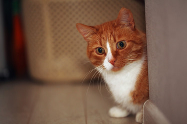 Similar image 10496366