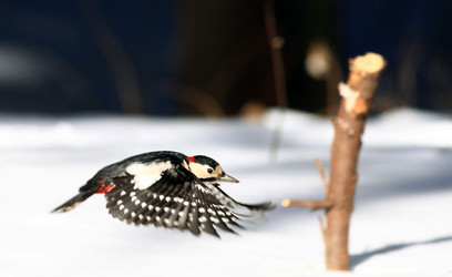 Similar image 10496375