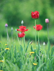 Similar image 10496383