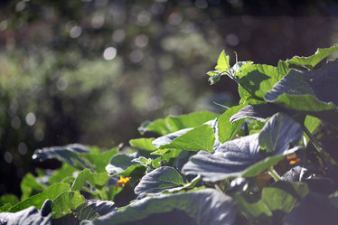 Similar image 10496384