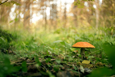 Similar image 10496388