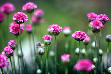 Similar image 10496392