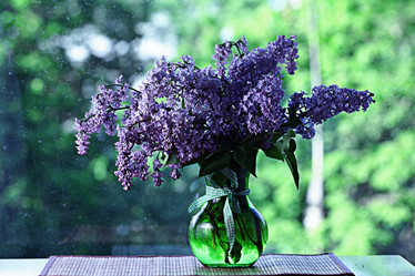 Similar image 10496398