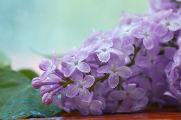 Similar image 10496400