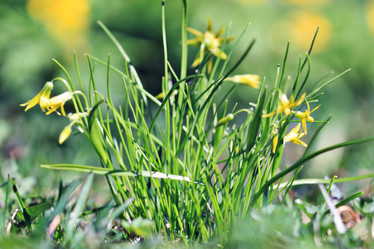 Similar image 10496401