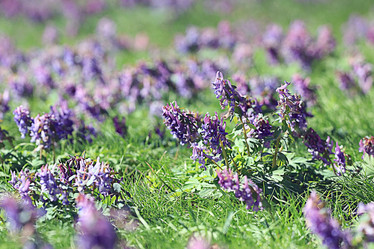 Similar image 10496402