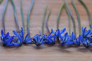 Similar image 10496403