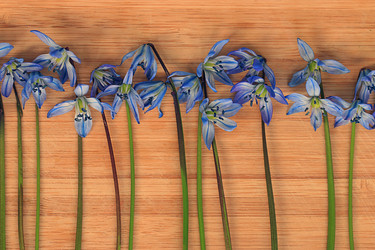 Similar image 10496404