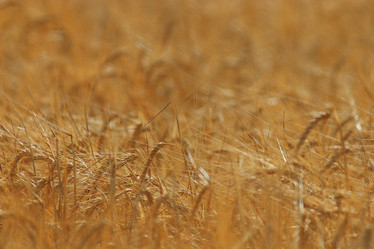 Similar image 10496410