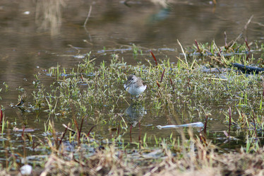 Similar image 10496411