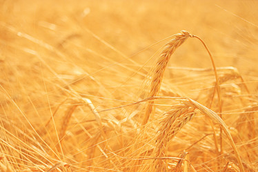 Similar image 10496412