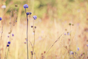 Similar image 10496415