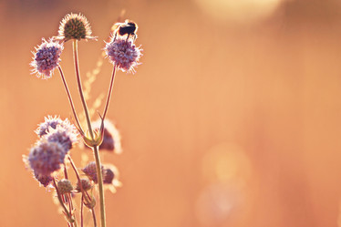 Similar image 10496416