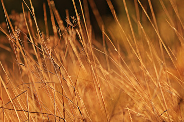 Similar image 10496417