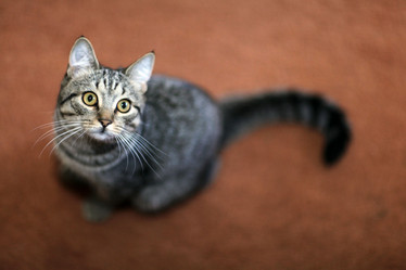 Similar image 10496429