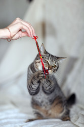 Similar image 10496433