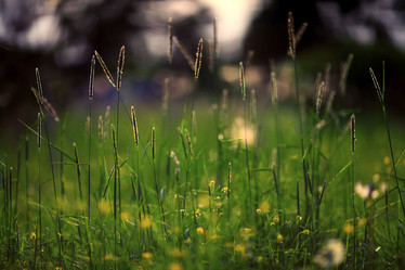 Similar image 10496435