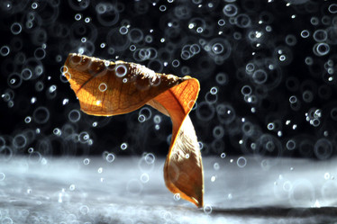 Similar image 10496437