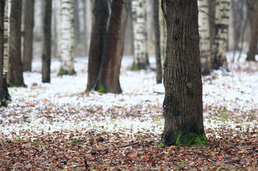 Similar image 10496438