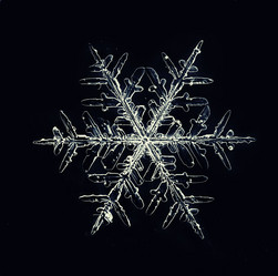 Similar image 10496445