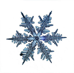 Similar image 10496452