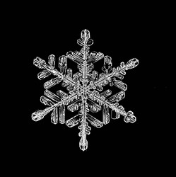 Similar image 10496453