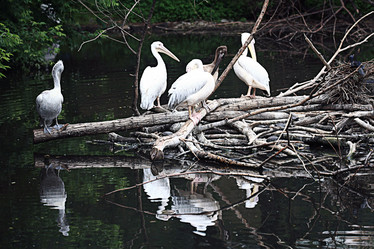 Similar image 10496465