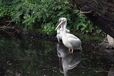 Similar image 10496466