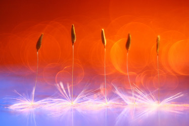 Similar image 10496470